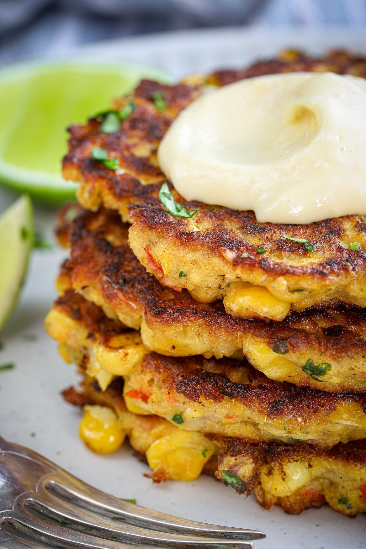 The Healthy Mix V e-Book