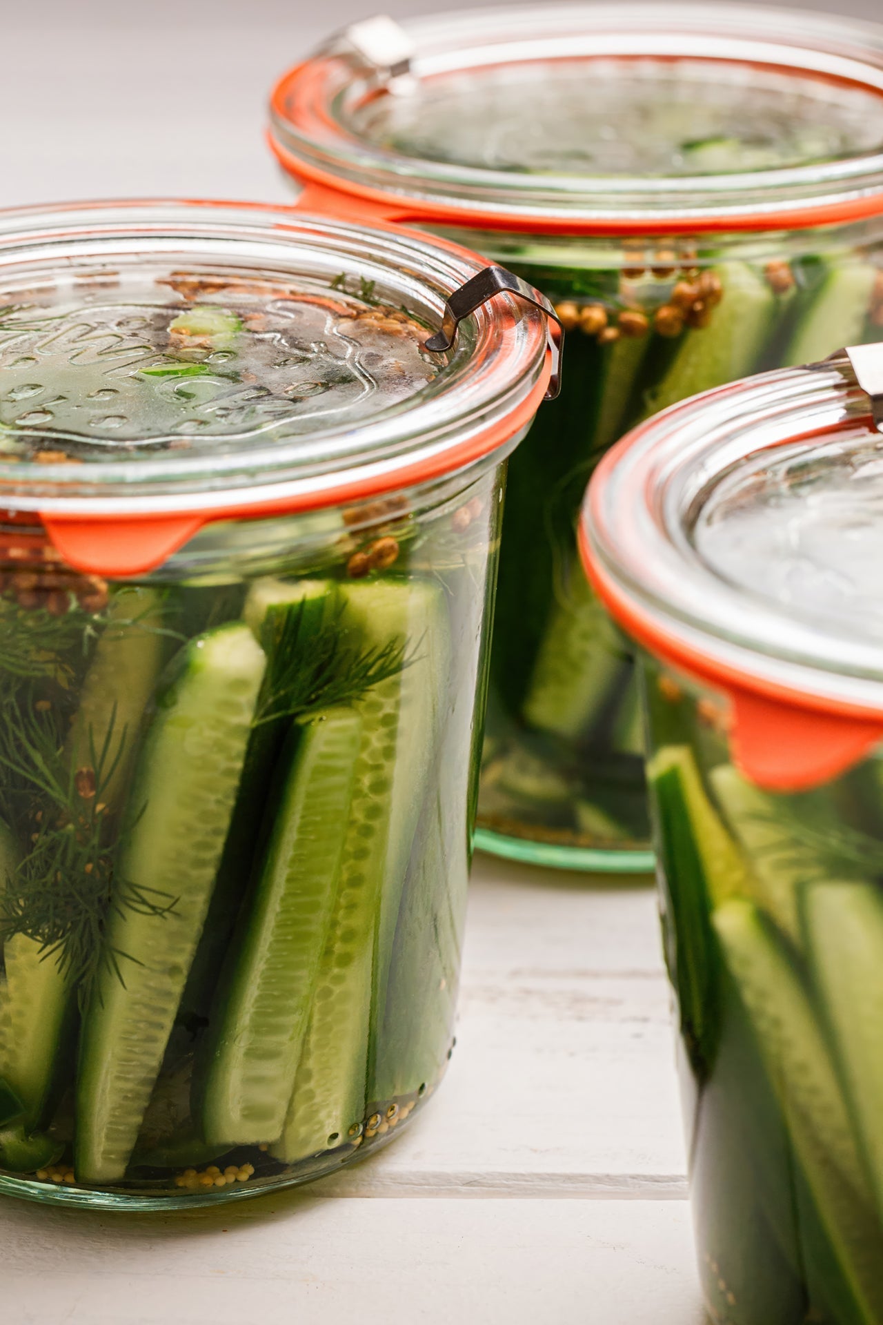 SkinnyAmerica e-Book