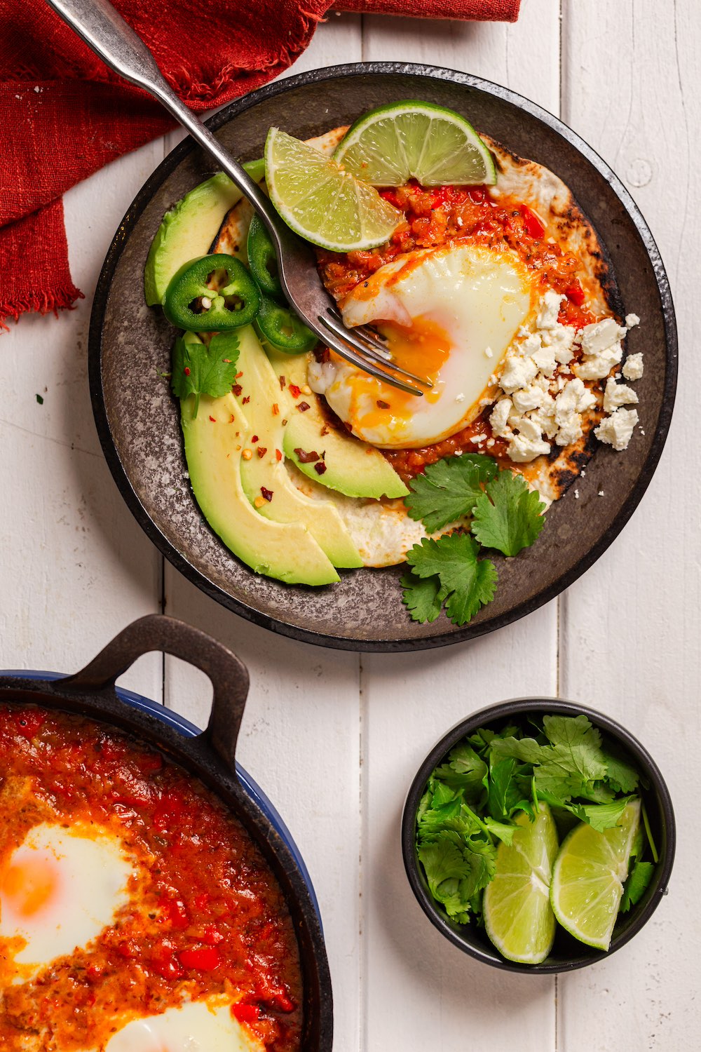 SkinnyAmerica e-Book